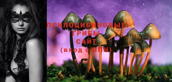 метамфетамин Козельск