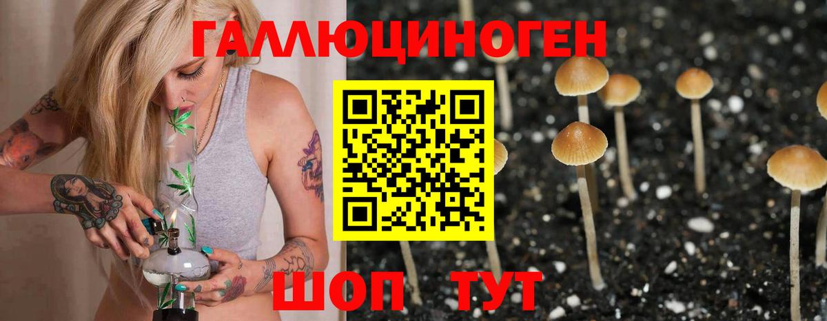 Галлюциногенные грибы GOLDEN TEACHER Минусинск