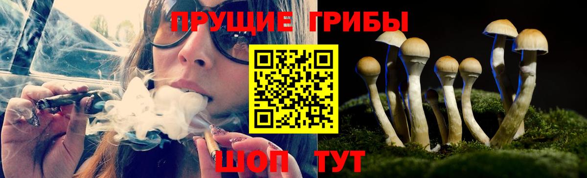 Минусинск  Галлюциногенные грибы прущие грибы  Вход с VPN 